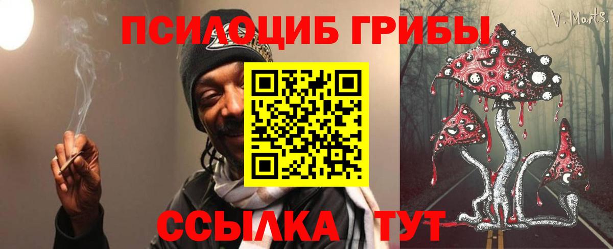 Псилоцибиновые грибы мицелий Воткинск